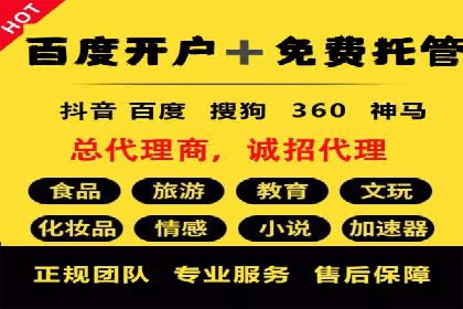 科技公司SEM外包战略的案例研究